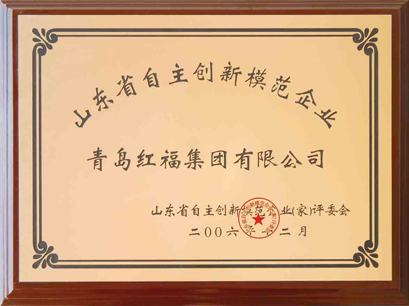 2006年山东省自主创新模范企业
