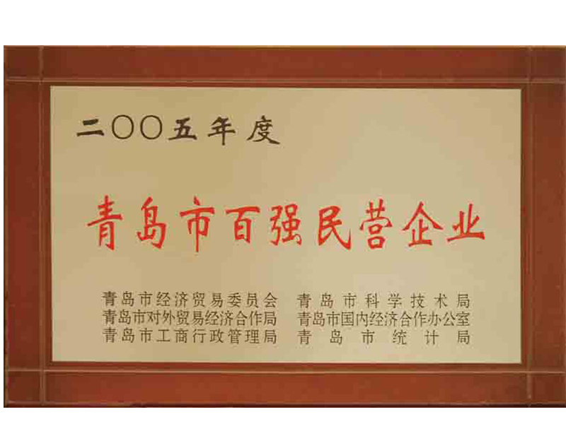 2005年青岛市民营百强企业